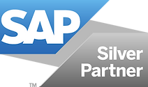 SAP Silver Partner